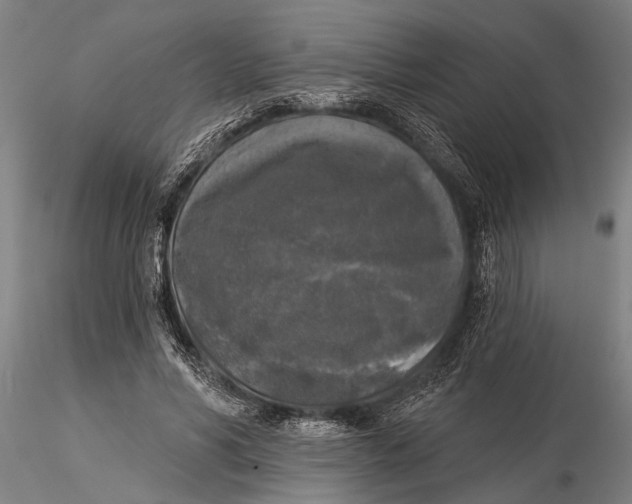 X0000116030590200912111418