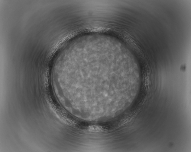 X0000116030591200912111418