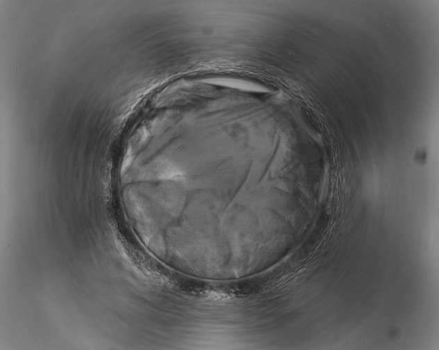 X0000116030592200912111418