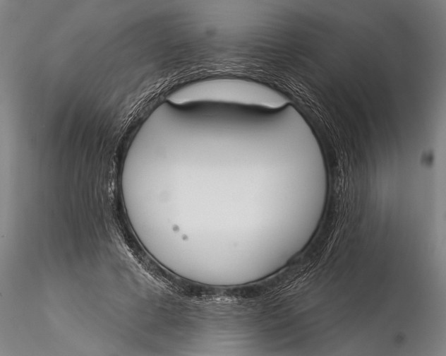 X0000116030593200912111418