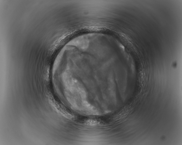 X0000116030596200912111418