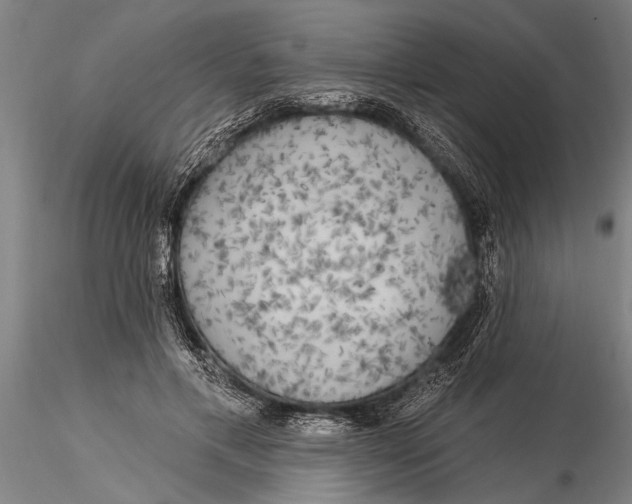 X0000116030597200912111418