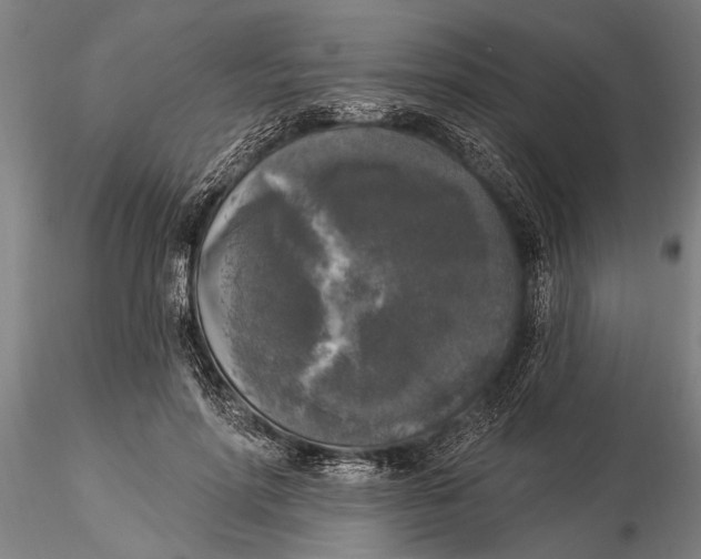 X0000116030598200912111418