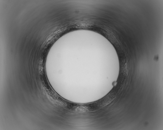 X0000116030599200912111418