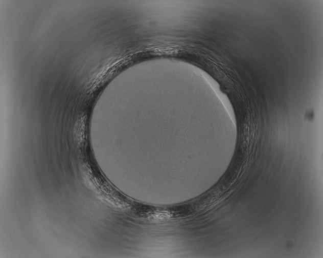 X0000116030600200912111418