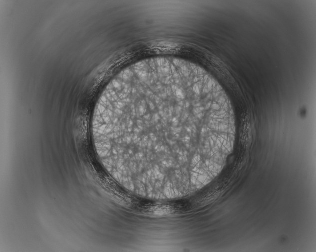 X0000116030604200912111418