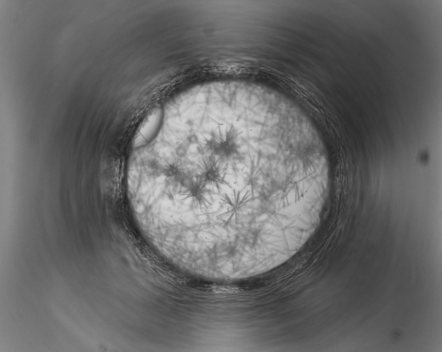 X0000116030605200912111418