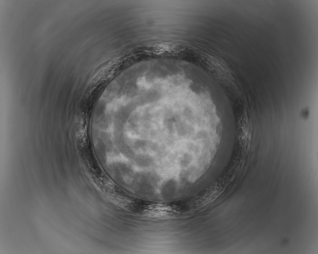 X0000116030607200912111418