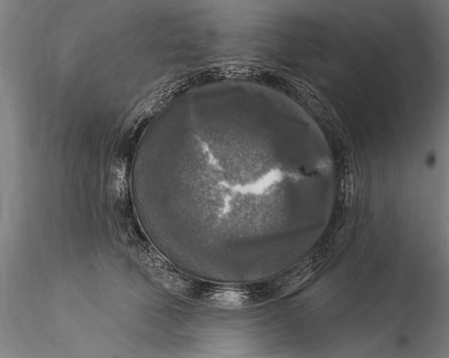 X0000116030610200912111418