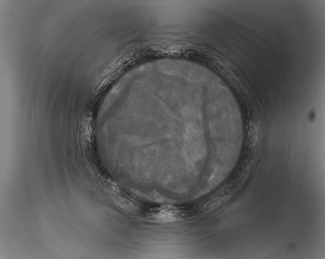 X0000116030612200912111418