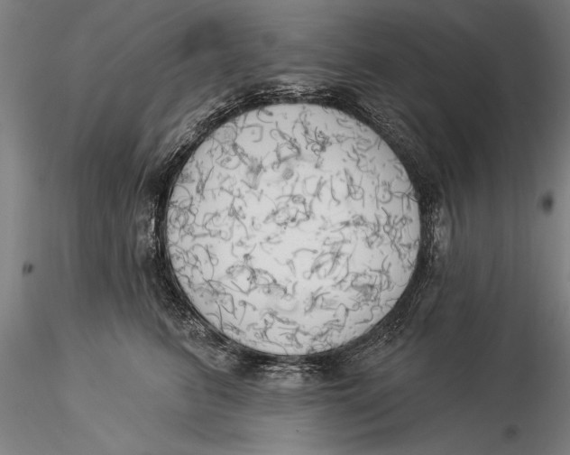 X0000116030615200912111418