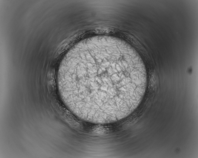 X0000116030616200912111418