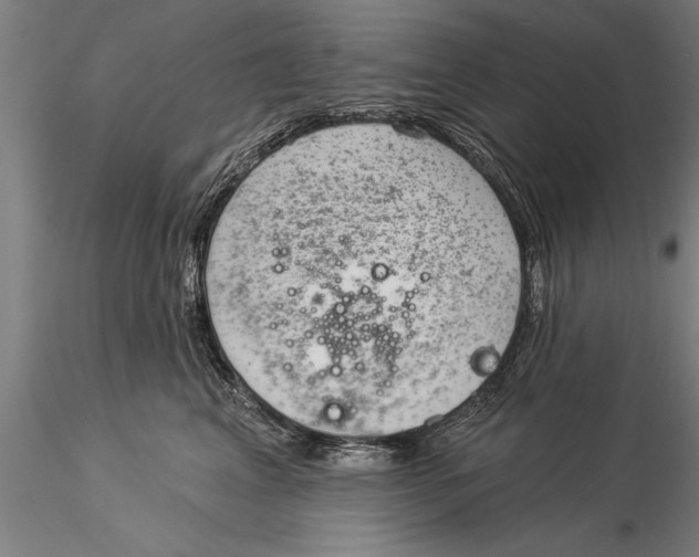 X0000116030617200912111418