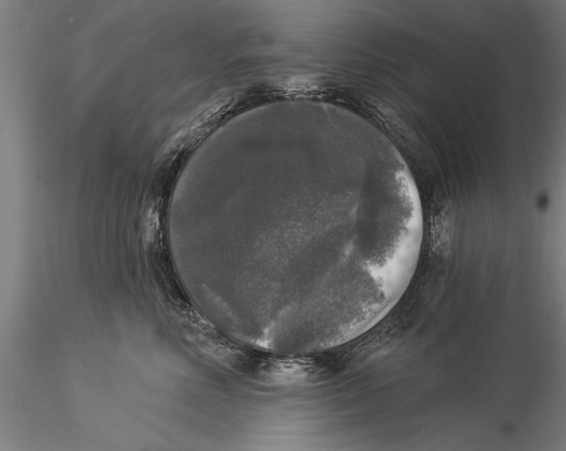 X0000116030618200912111418