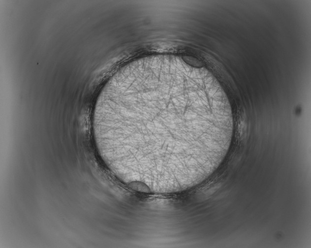 X0000116030620200912111417