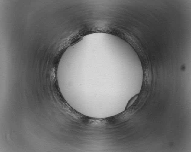 X0000116030621200912111417