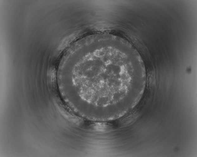 X0000116030623200912111417