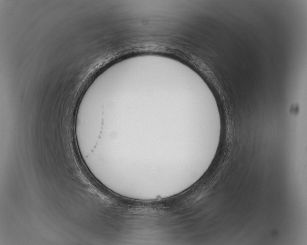 X0000116030625200912111416