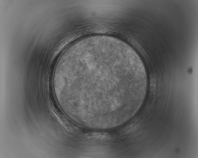 X0000116030626200912111416