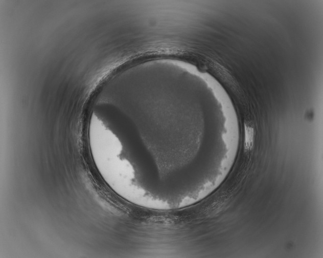 X0000116030627200912111416