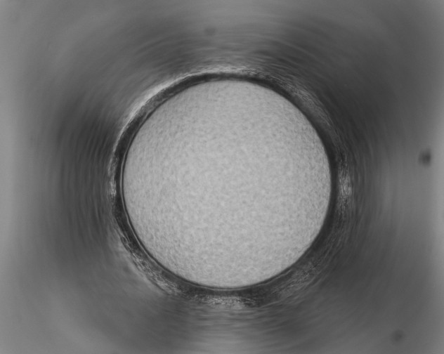 X0000116030628200912111416