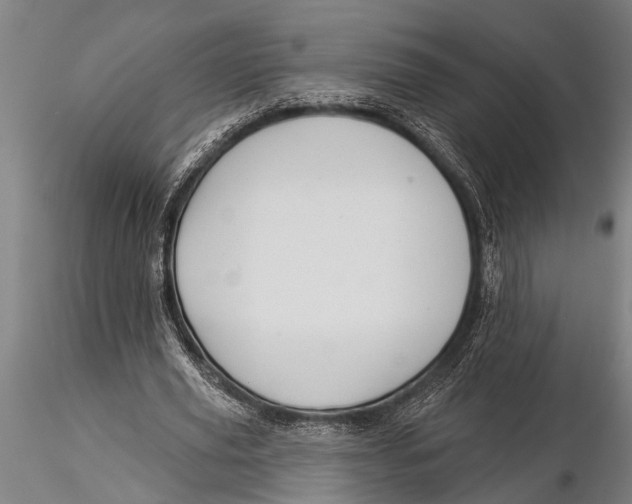 X0000116030629200912111416