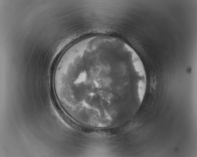 X0000116030630200912111416