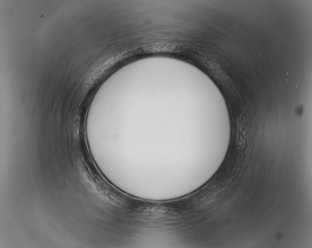 X0000116030631200912111416