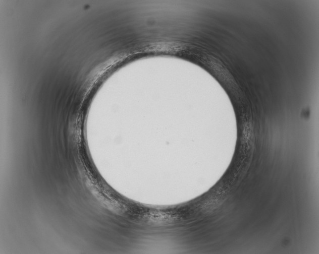 X0000116030632200912111417