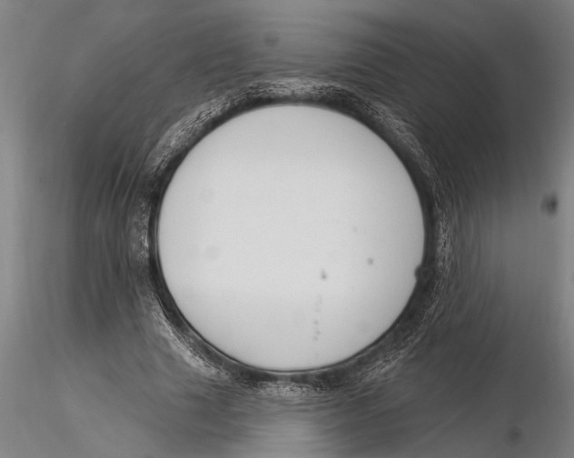 X0000116030633200912111417