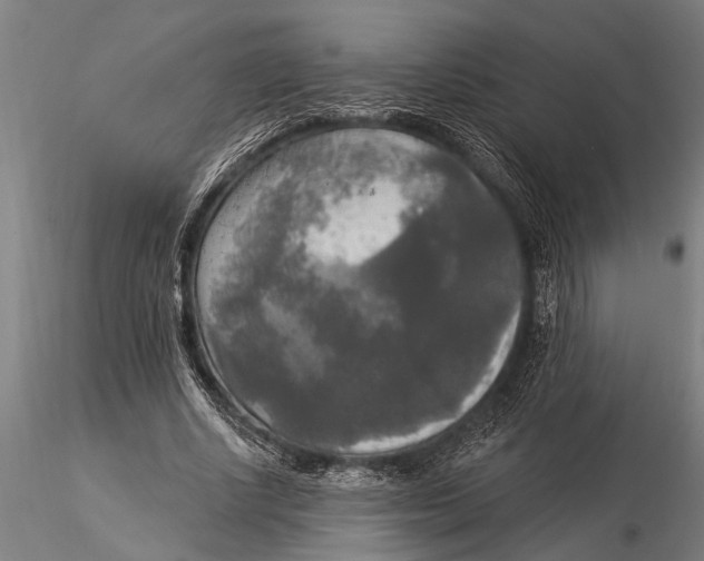 X0000116030634200912111417