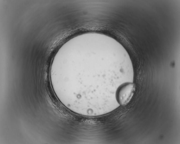 X0000116030635200912111417