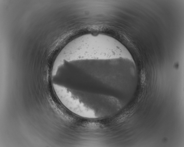 X0000116030637200912111417