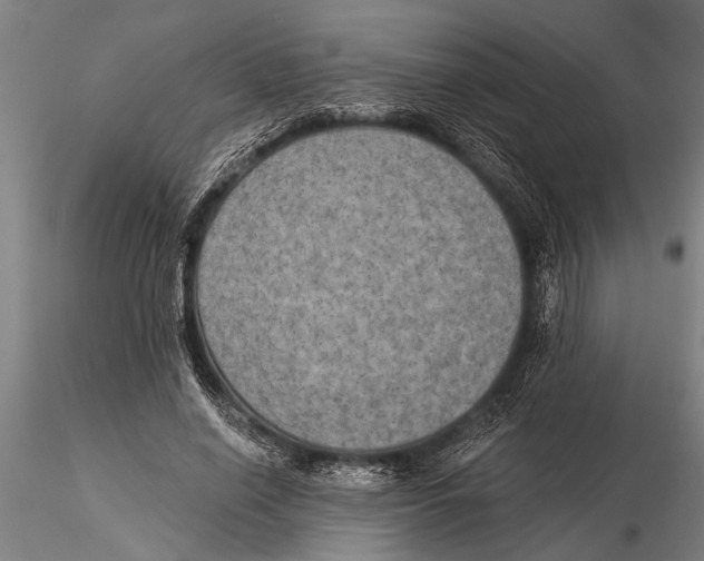 X0000116030638200912111417