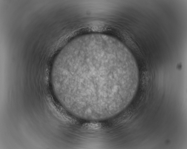 X0000116030639200912111417