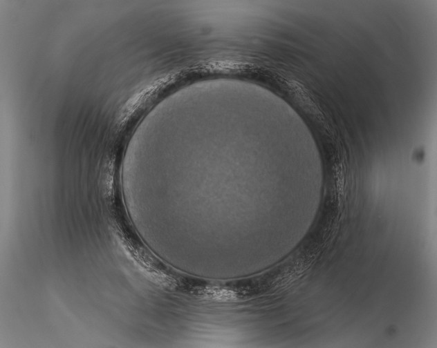 X0000116030640200912111417