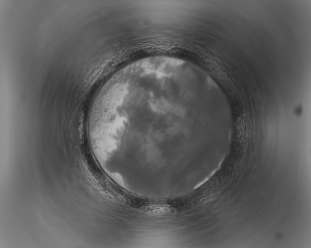 X0000116030642200912111417