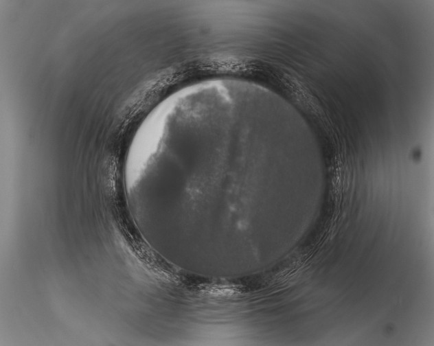 X0000116030643200912111417