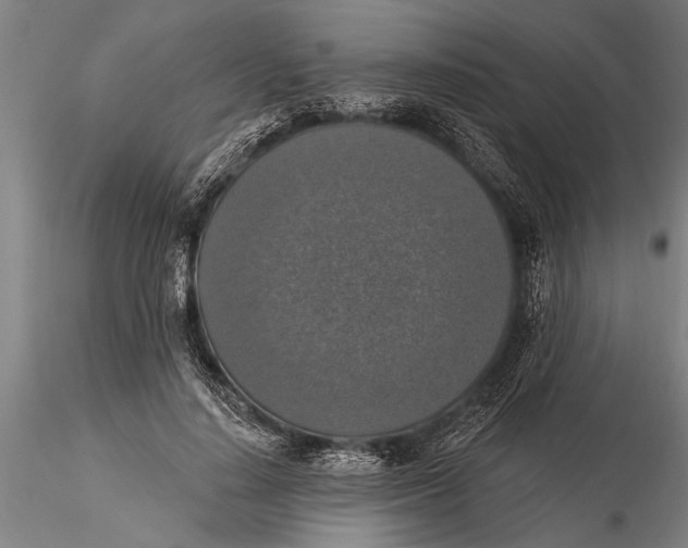 X0000116030644200912111417