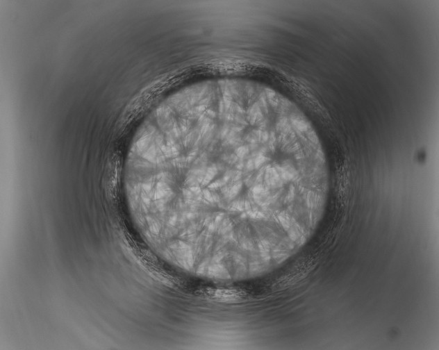 X0000116030645200912111417