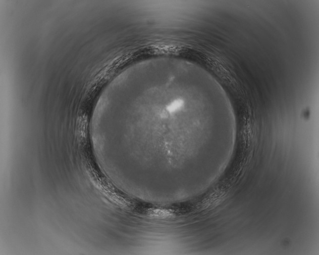 X0000116030649200912111417