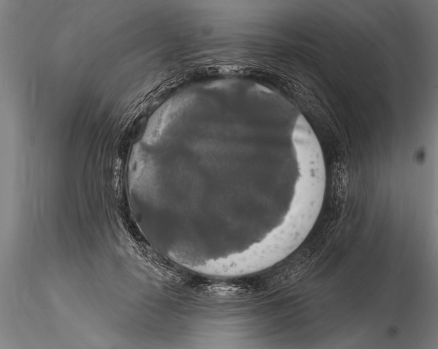 X0000116030650200912111417