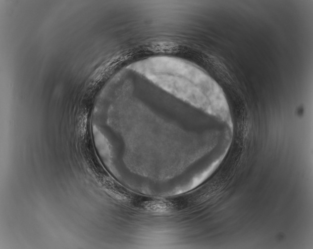 X0000116030652200912111417