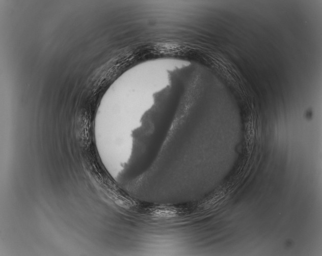 X0000116030653200912111417