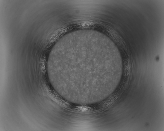 X0000116030654200912111417