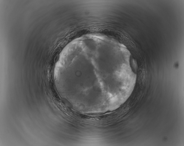 X0000116030655200912111417