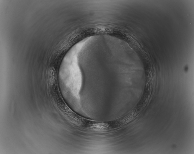 X0000116030659200912111417