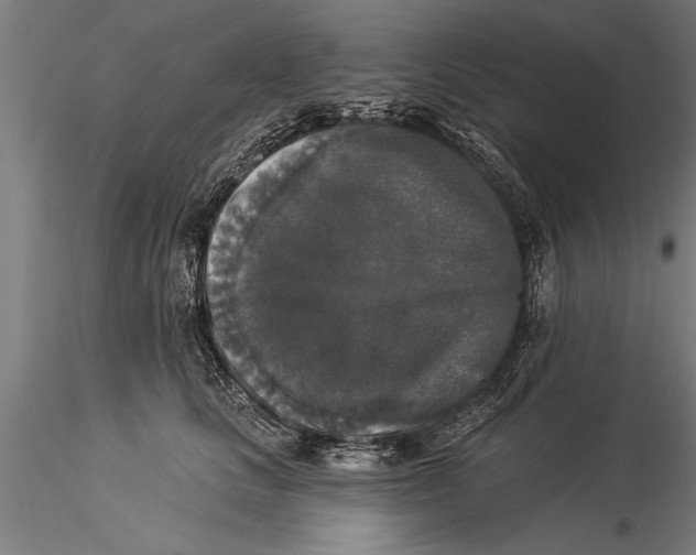 X0000116030661200912111417