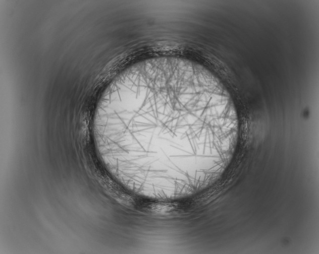 X0000116030662200912111417