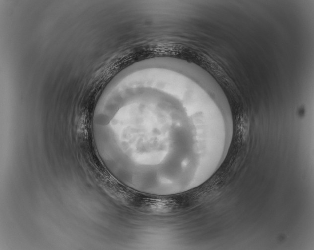 X0000116030663200912111417